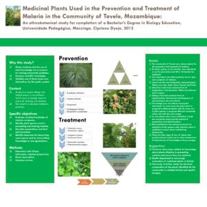 Medicinal Plants Used in the Prevention and Treatment of Malaria in the Community of Tevele, Mozambique: An ethnobotanical study for completion of a Bachelor’s Degree in Biology Education, Universidade Pedagógica, Mas