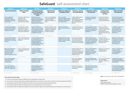 SafeGuard 	 self-assessment chart Element 1 Element 2  Element 3