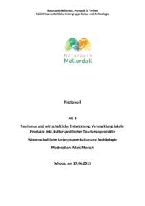 Protokoll_AG3_Kulturerbe_Schoos_130617