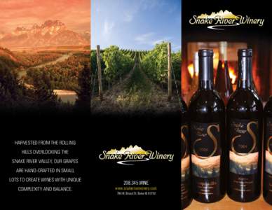 Harvested from the rolling hills overlooking the Snake River Valley, our grapes are hand-crafted in small lots to create wines with unique complexity and balance.