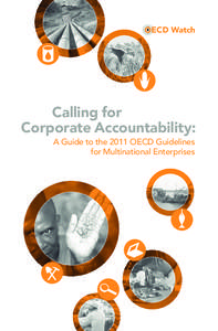 ECD Watch  Calling for Corporate Accountability: A Guide to the 2011 OECD Guidelines for Multinational Enterprises