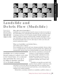 Landslide & Debris Flow  Landslide and Debris Flow (Mudslide) Produced by the National Disaster