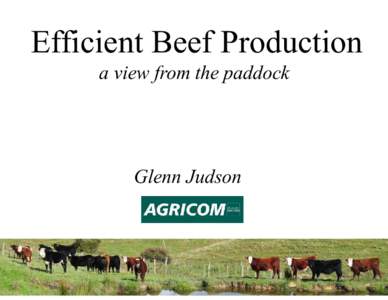 Efficient Beef Production a view from the paddock Glenn Judson  Introduction