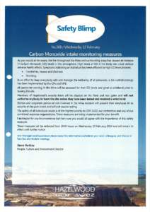 Safety Blimp  As you would all be aware, the fire throughout the Mine and surrounding areas has caused an increase in Carbon Monoxide (CO) levels in the atmosphere. High levels of CO in the body can cause serious adverse