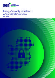 Energy Security in Ireland: A Statistical Overview 2011 Report 1