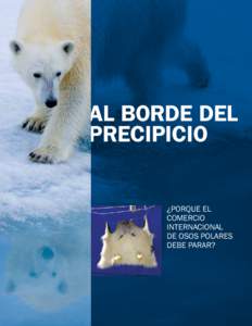 Al borde del precipicio ¿Porque el comercio internacional de osos polares