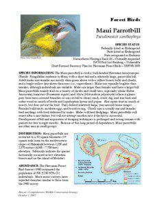 Microsoft Word - Maui Parrotbill NAAT final !.doc