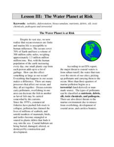 Lesson III: The Water Planet at Risk Keywords: turbidity, deforestation, bioaccumulate, nutrients, debris, silt, toxic chemicals, pathogens and terrestrial The Water Planet is at Risk Despite its vast size, we now