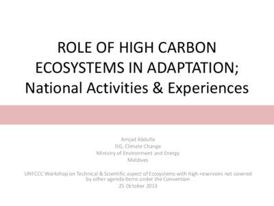ROLE OF HIGH CARBON ECOSYSTEMS IN ADAPTATION; National Activities & Experiences Amjad Abdulla DG, Climate Change Ministry of Environment and Energy
