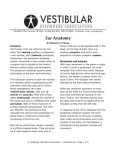 Anatomy The human inner ear contains two divisions: the hearing (auditory) component —the cochlea, and a balance (vestibular) component—the peripheral vestibular system. Peripheral in this context refers to a system 