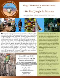 Wings Over Willcox & Borderland Tours present San Blas, Jungle & Barranca led by Rick Taylor & Homer Hansen, WOW Tour Leaders