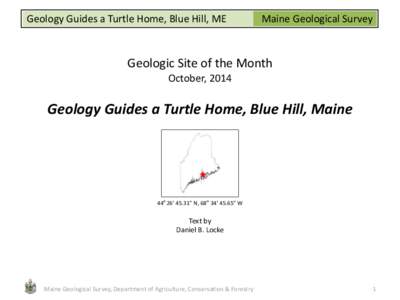 Emys / Pond / Taxonomy / Herpetology / Biology / Chrysemys / Cryozoa / Painted turtle