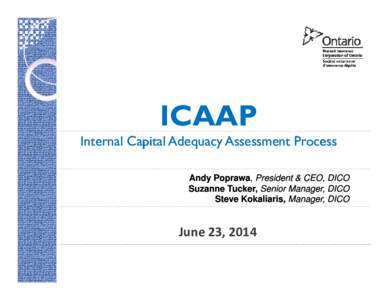 Microsoft PowerPoint - 06 ICAAP Webinar - Jun 23, 2014UPDATE.pptx