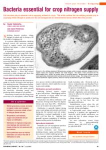 Know your microbe  Cropping Bacteria essential for crop nitrogen supply Soil microbes play an essential role in supplying nutrients to crops. This article outlines the role nitrifying bacteria play in