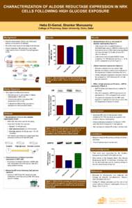 CHARACTERIZATION OF ALDOSE REDUCTASE EXPRESSION IN NRK CELLS FOLLOWING HIGH GLUCOSE EXPOSURE Heba El-Gamal, Shankar Munusamy College of Pharmacy, Qatar University, Doha, Qatar