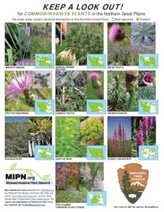 KEEP A LOOK OUT!  for COMMON INVASIVE PLANTS in the Northern Great Plains ThemapsshowcurrentreporteddistribuƟonintheNorthernGreatPlains.NotreportedPresent  SMOOTHBROME