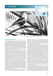 Phyllastrephus / Malimbus / Afrotropic / Important Bird Area / Icterine Greenbul / Cameroon Sunbird / Guinean forest-savanna mosaic / Gambaga Flycatcher / Blue-billed Malimbe / Passerida / Muscicapa / Ploceus