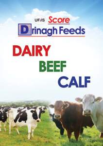 DAIRY & BEEF P R O D U C T R A N G E  Drinagh Taking Pride in Quality