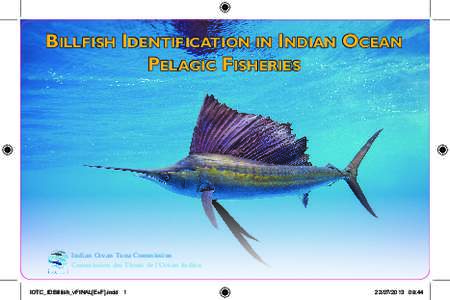 Billfish Identification in Indian Ocean Pelagic Fisheries Indian Ocean Tuna Commission Commission des Thons de l’Océan Indien