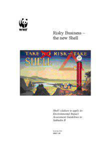 Risky business - the new Shell