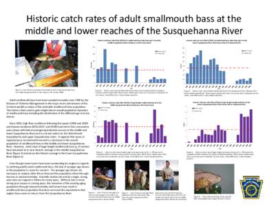 Geography of the United States / Smallmouth bass / Holtwood Dam / Fish / Susquehanna River / Micropterus
