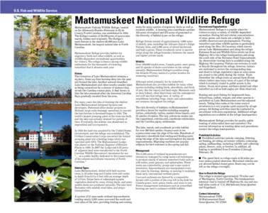 U.S. Fish and Wildlife Service  Mattamuskeet National Wildlife Refuge Mattamuskeet National Wildlife Refuge, located on the Albemarle-Pamlico Peninsula in Hyde County, North Carolina, was established in 1934.