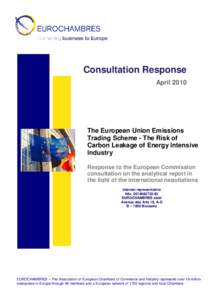 Consultation Response April 2010 The European Union Emissions Trading Scheme - The Risk of Carbon Leakage of Energy Intensive