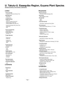 Epiphytes / Euphorbiaceae / Campyloneurum / Medicinal plants / Cleome / Duguetia / Hevea / Hymenophyllum / Asplenium / Eudicots / Rosids / Plant taxonomy