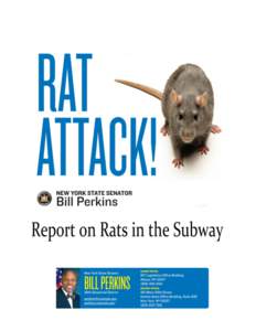 Pest control / New York City Subway / Brown rat / Old World rats and mice / Rat / Scavengers