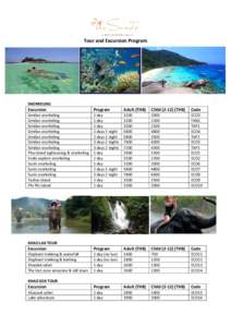 Tour and Excursion Program  SNORKELING Excursion