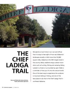 The Chief Ladiga Trail  We spend so much time in our cars and offices