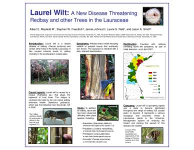 Laurel Wilt: A New Disease Threatening Redbay and other Trees in the Lauraceae Albert E. Mayfield III1, Stephen W. Fraedrich2, James Johnson3, Laurie S. Reid4, and Jason A. Smith5 1Florida  Department of Agriculture and 