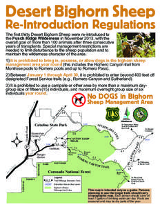 Desert Bighorn Sheep  Re-Introduction Regulations The first thirty Desert Bighorn Sheep were re-introduced to the Pusch Ridge Wilderness in November 2013, with the overall goal of more than 100 animals after three consec