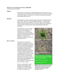 Microsoft Word - 12_Winter hardiness of zoysiagrass cultivars 2004v2.doc