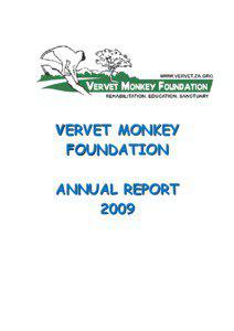 Monkey / Limpopo / Vervet Monkey Foundation / Tzaneen / Vervet monkey