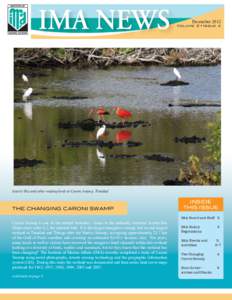 December 2012 Volume 2 Issue 4 Scarlet Ibis and other wading birds at Caroni Swamp, Trinidad  THE CHANGING CARONI SWAMP