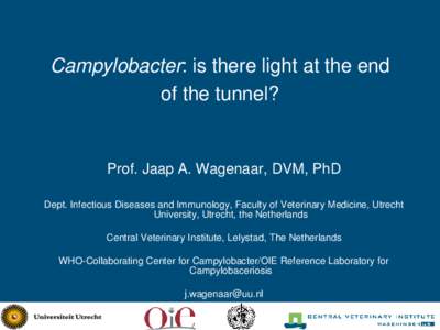 Campylobacter: is there light at the end of the tunnel? Prof. Jaap A. Wagenaar, DVM, PhD Dept. Infectious Diseases and Immunology, Faculty of Veterinary Medicine, Utrecht University, Utrecht, the Netherlands