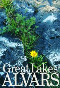 Great Lakes  ALVARS Great Lakes Alvars The earliest visitors to the Great Lakes region were in awe of the magnificent hardwood forests