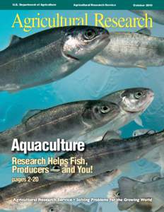 Fish farming / Fish meal / Florida pompano / Salmon / Fish hatchery / Raceway / Aquaculture in Canada / Aquaculture / Fish / Commercial fish feed