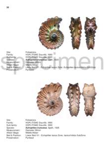 30  specimen Site: Family: Subfamily: