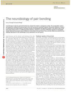 THE SEXUAL BRAIN  © 2004 Nature Publishing Group http://www.nature.com/natureneuroscience