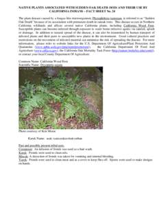 Microsoft Word - Tribal Uses for CA Wood Fern-#24.doc