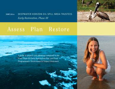 JUNE[removed]DEEPWATER HORIZON OIL SPILL NRDA TRUSTEES Early Restoration, Phase III