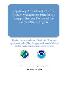 Regulatory Amendment 22 to the Fishery Management Plan for the Snapper Grouper Fishery of the South Atlantic Region  Revise the annual catch limits (ACLs), and