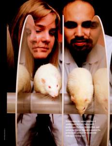 KEITH WELLER (K8353-1)  To determine the motor function of middle-aged test rats, behavioral psychologist Barbara Shukitt-Hale and technician George Mouzakis monitor the