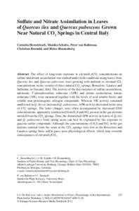 Sulfate and Nitrate Assimilation in Leaves of Quercus ilex and Quercus pubescens Grown Near Natural CO2 Springs in Central Italy Cornelia Herschbach, Monika Schulte, Peter von Ballmoos, Christian Brunold, and Heinz Renne