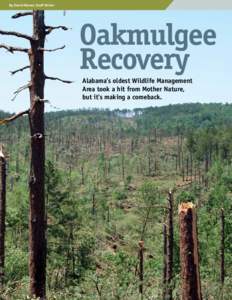 By David Rainer, Staff Writer  Oakmulgee Recovery Alabama’s oldest Wildlife Management Area took a hit from Mother Nature,