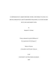 A COMPARISON OF CARBON DIOXIDE, WATER, AND ENERGY FLUXES AT A DRYING SHRUB WETLAND IN NORTHERN WISCONSIN, USA WITH NEARBY WETLAND AND FOREST SITES by Benjamin N. Sulman