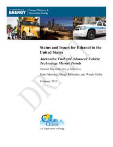 Status and Issues for Ethanol in the United States