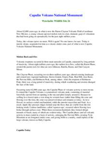 Capulin Volcano National Monument Watchable Wildlife Site 26 About 62,000 years ago, in what is now the Raton-Clayton Volcanic Field of northeast New Mexico, a young volcano spewed molten rock in a last, dramatic gasp of